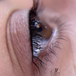 بن مژه