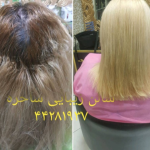 رنگ و لایت