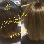 رنگ و لایت